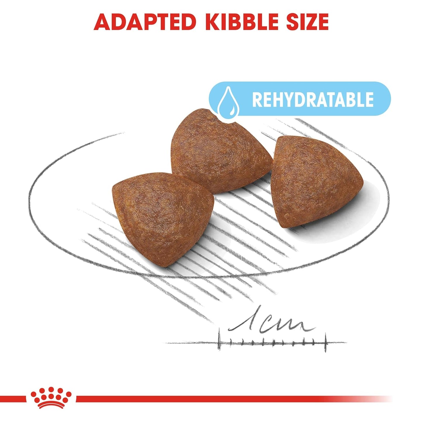 Royal Canin Medium Starter, Mother & Baby dog Food, 1 Kg, Dry Food