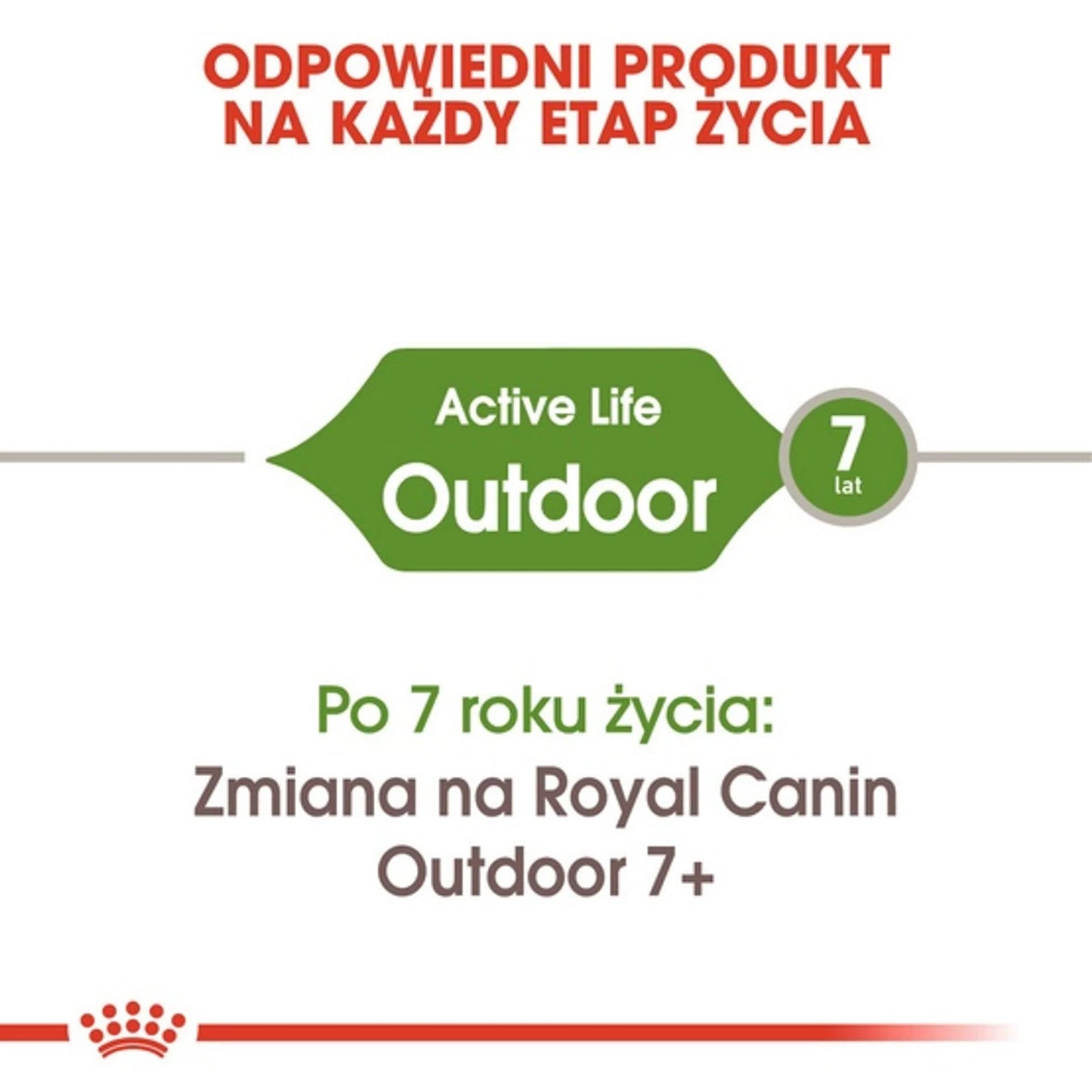 Royal Canin Outdoor Cat, 2 KG Pack, Active Lifestyle