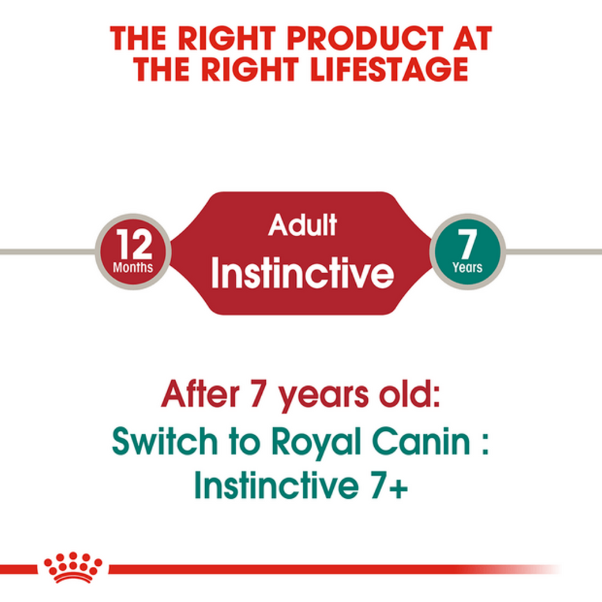 Royal Canin Instinctive Adult Cat Loaf in Gravy Food, 85 Grams, Pack of 12 Sachet
