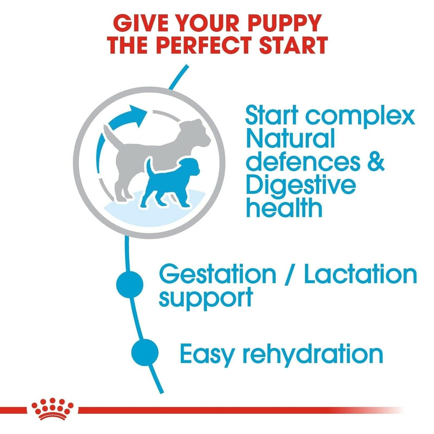 Royal Canin Mini Starter, Mother & Baby dog Food, 4 Kg, Dry Food, Natural Defense