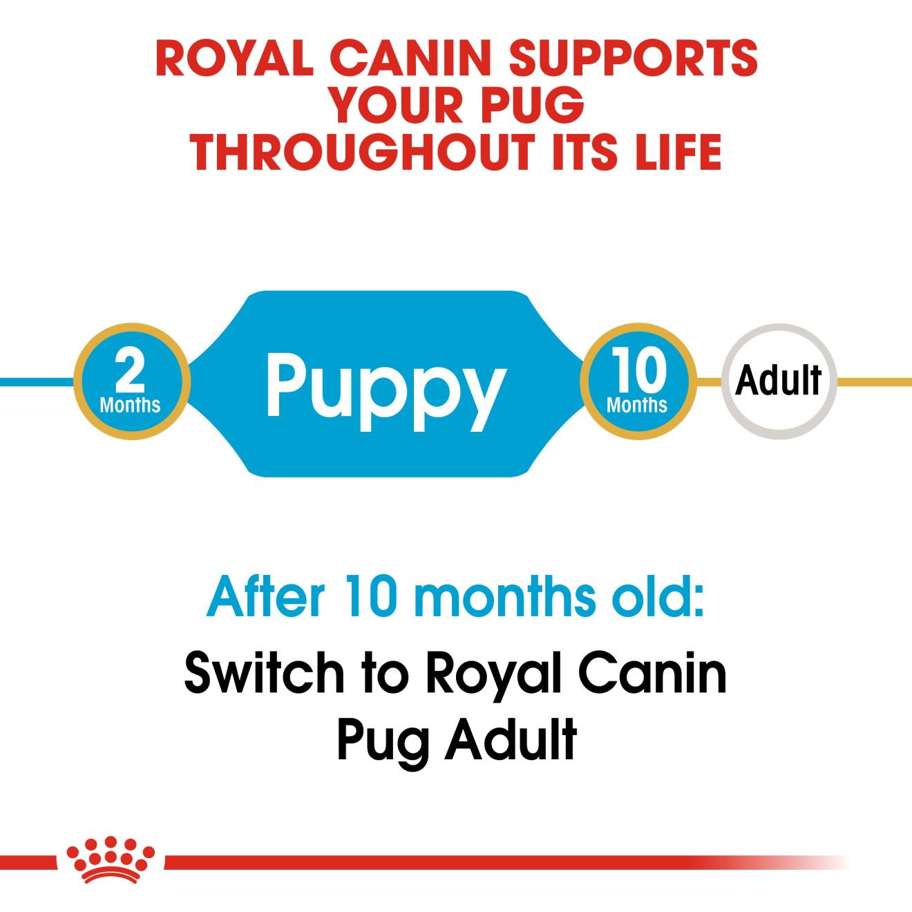 Royal Canin, Pug Puppy, 1.5 KG, Dry Food