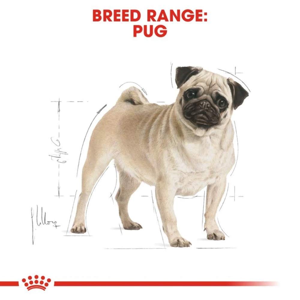 Royal Canin Pug Adult Dog Food, 7.5 Kg, Dry Food, Helps to Tone Muscles