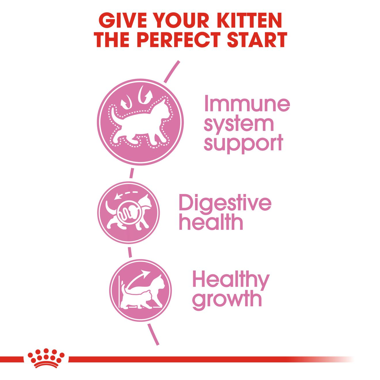 Royal Canin Kitten Dry Cat Food, 1.2 KG Pack