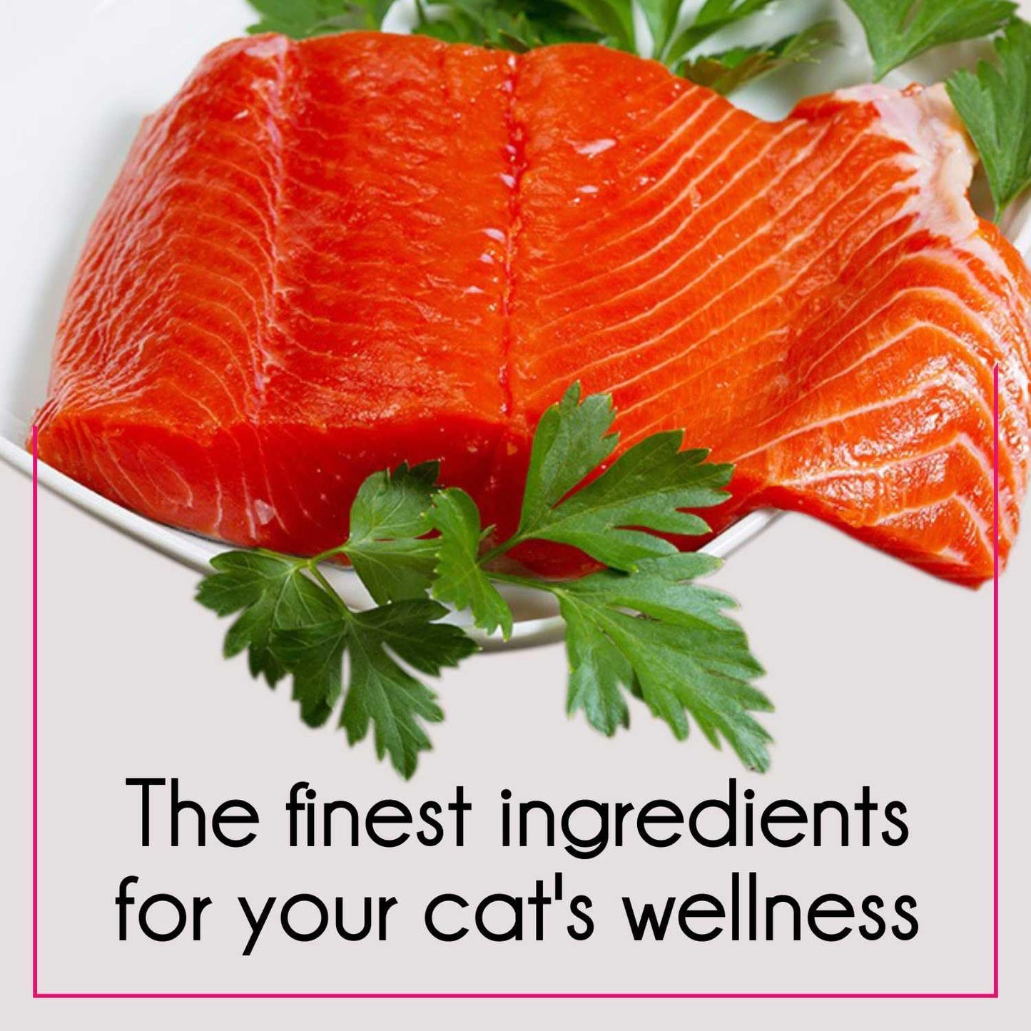 Purepet Adult Dry Cat Food, 1 KG Pack, Tuna and Salmon Flavour, Hair Ball Protection
