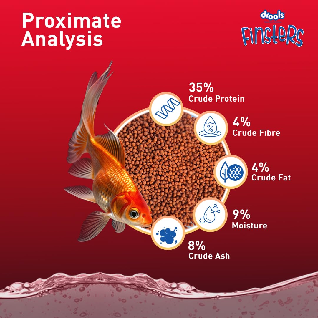 Drools Finsters Quick Red Fish Food, 100 Gms | Seafood Flavour | Colour-Enhancing Formula