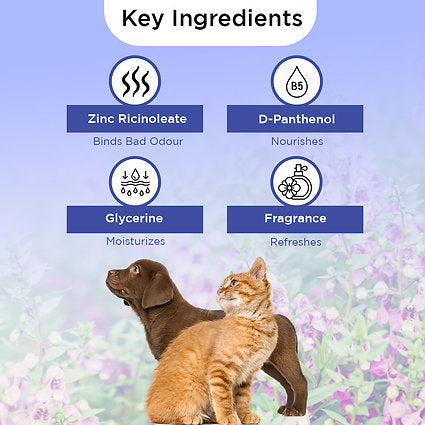 FluffyTails Purrfume, Amber Fragrance, 200 ML