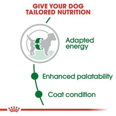 Royal Canin, Mini Adult Dry Dog Food, 8 KG, Supports Weight Management