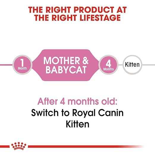 Royal Canin Mother & Babycat Food, 2 KG Pack, Supports Immunity & Digestive Health