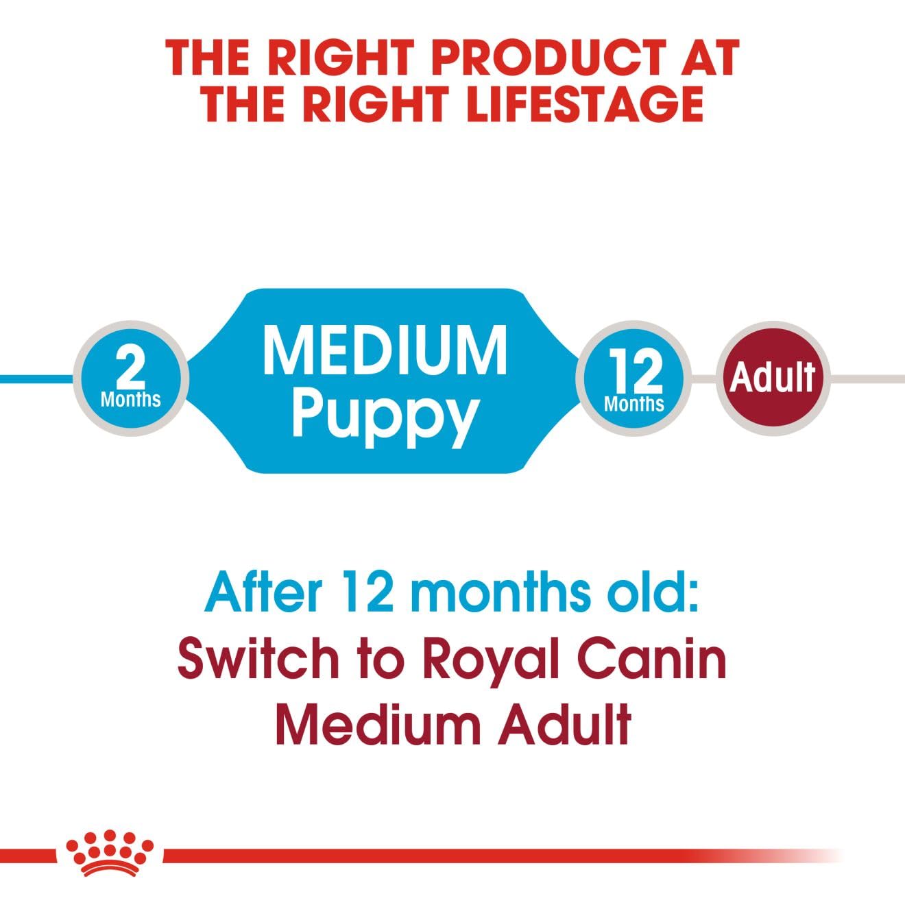 Royal Canin, Medium Puppy Food, 1 Kg, Dry Food, Supports Digestive Health