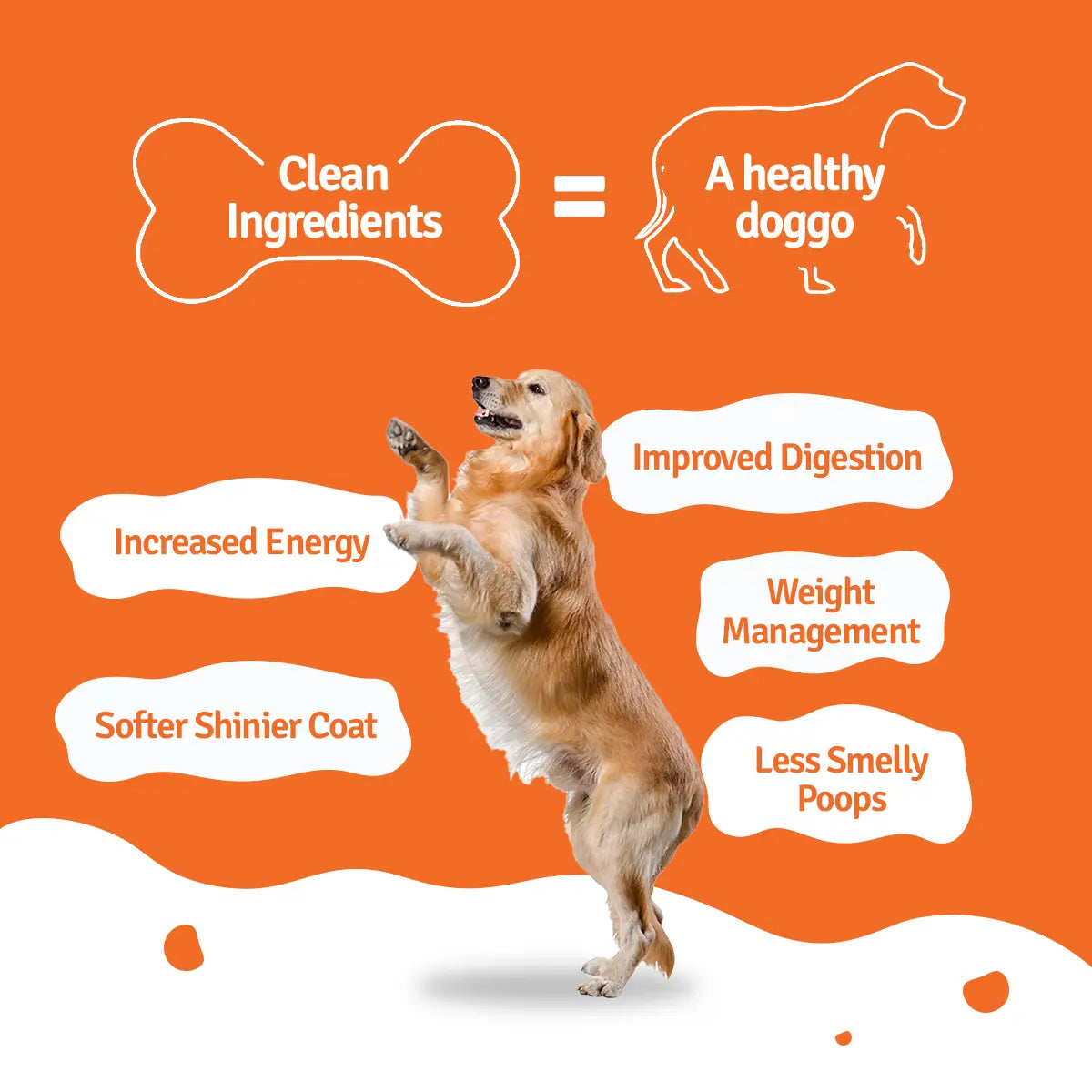 BLEP Paneer Quinoa Dog Food - 100 GMs - Pack Of 3