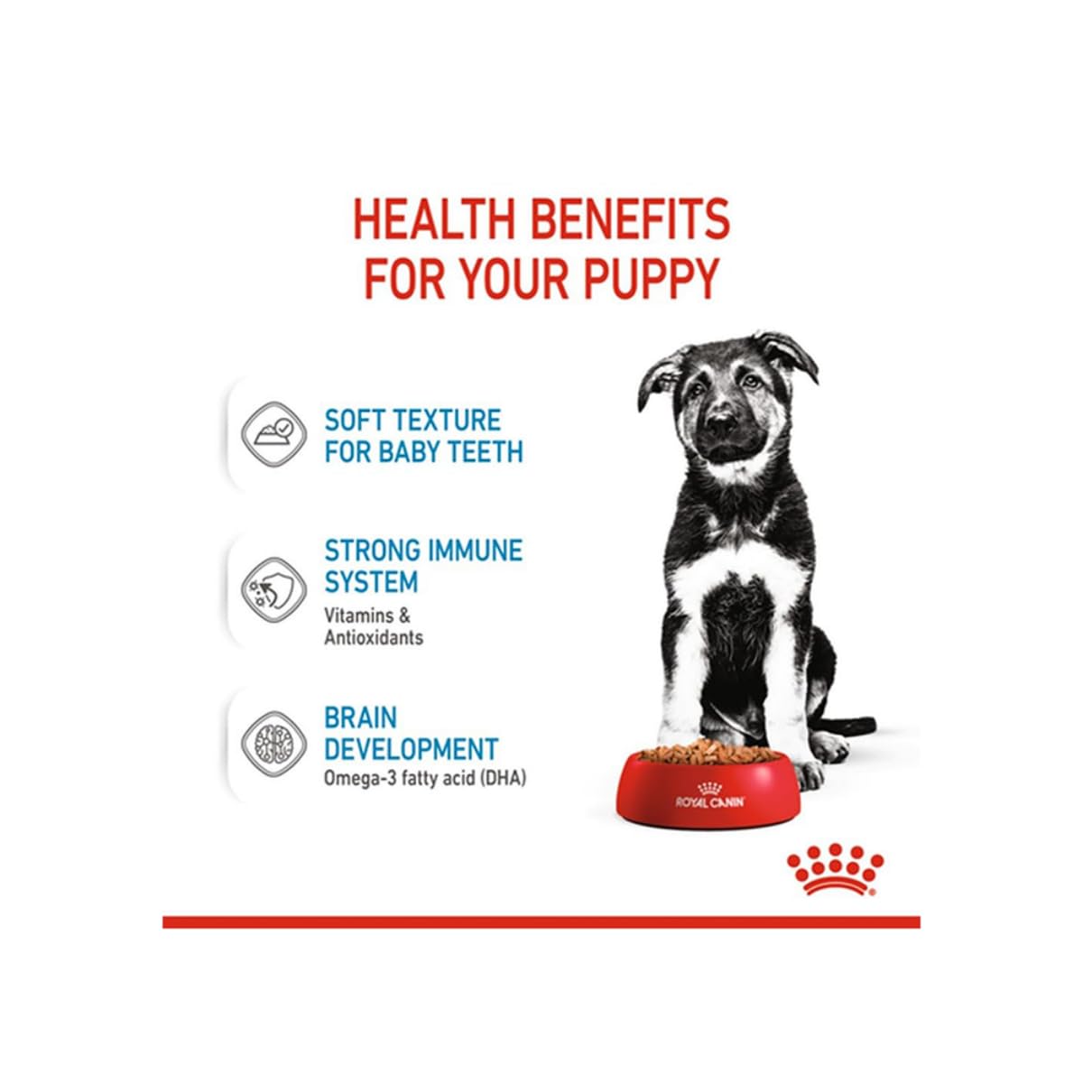 Royal Canin Maxi, Puppy Food for Stage 3, 140 Grams, Pack of 10 Sachet, Wet Food