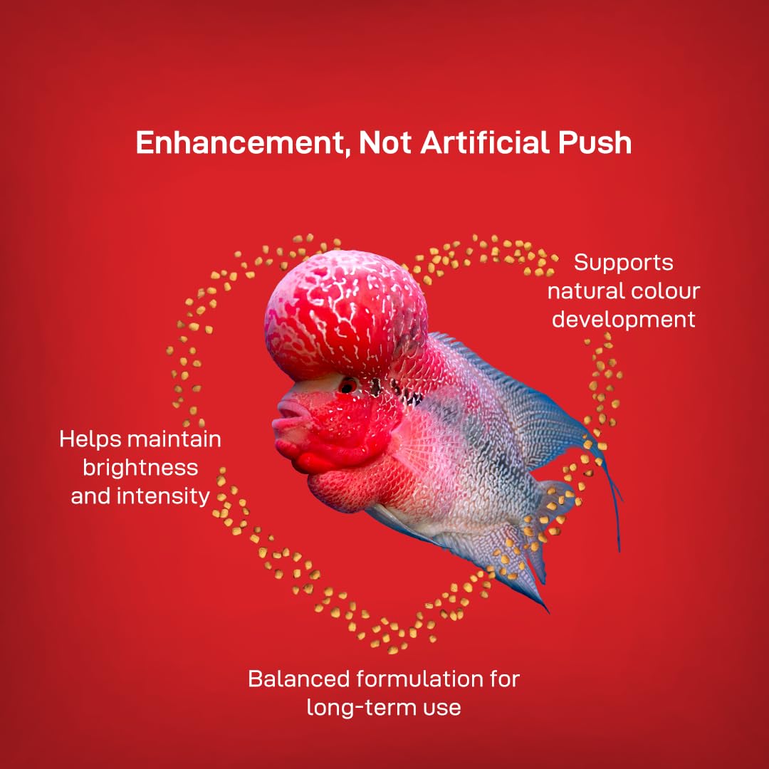 Drools Finsters Flowerhorn Colour Enhancer (L), 100 Gms