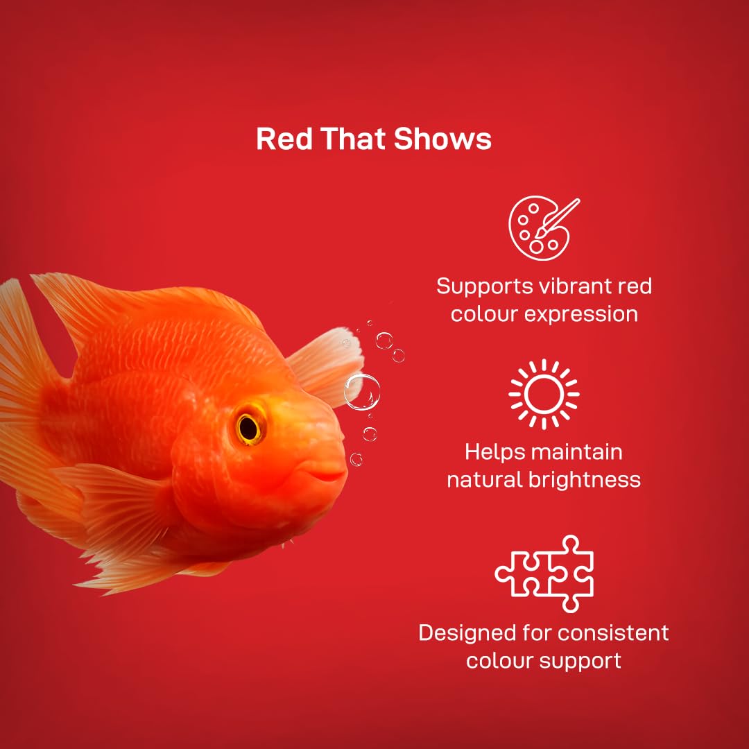 Drools Finsters Red Parrot Fish Food, 100 Gms Pouch, Colour-Focused Nutrition