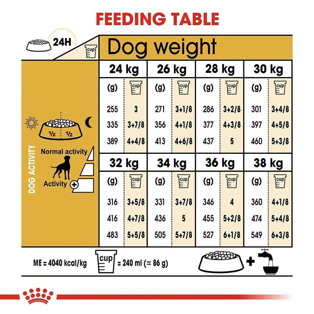 Royal Canin Boxer Adult Dry Dog Food, 12 KG Pack, Maintain Muscle Mass