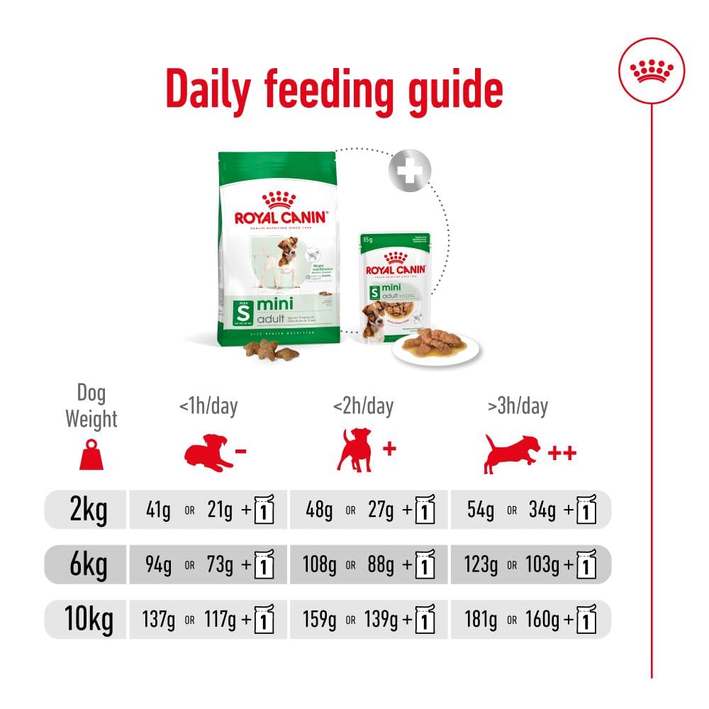Royal Canin, Mini Adult Dry Dog Food, 800 Gm, Supports Weight Management