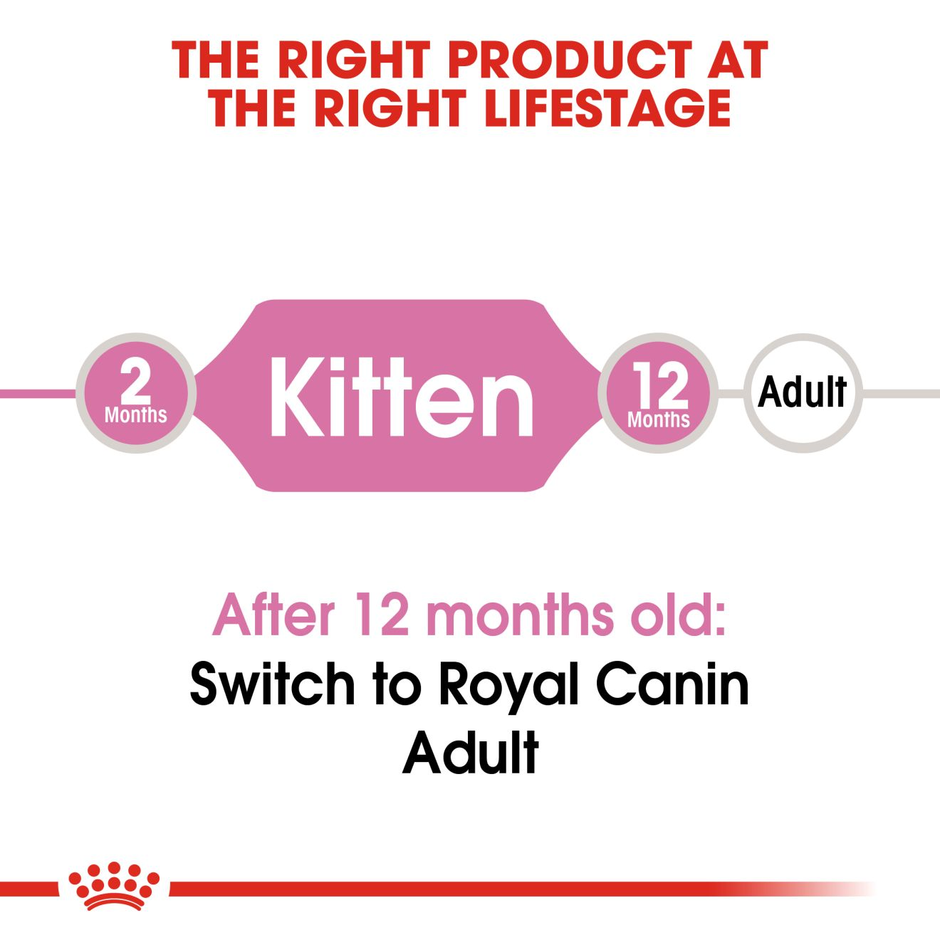 Royal Canin Kitten Dry Cat Food, 1.2 KG Pack