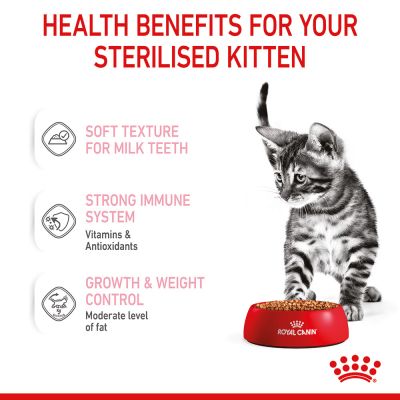 Royal Canin Sterilised Kitten, Chunks in Gravy (Pack of 12 x 85 GMs)