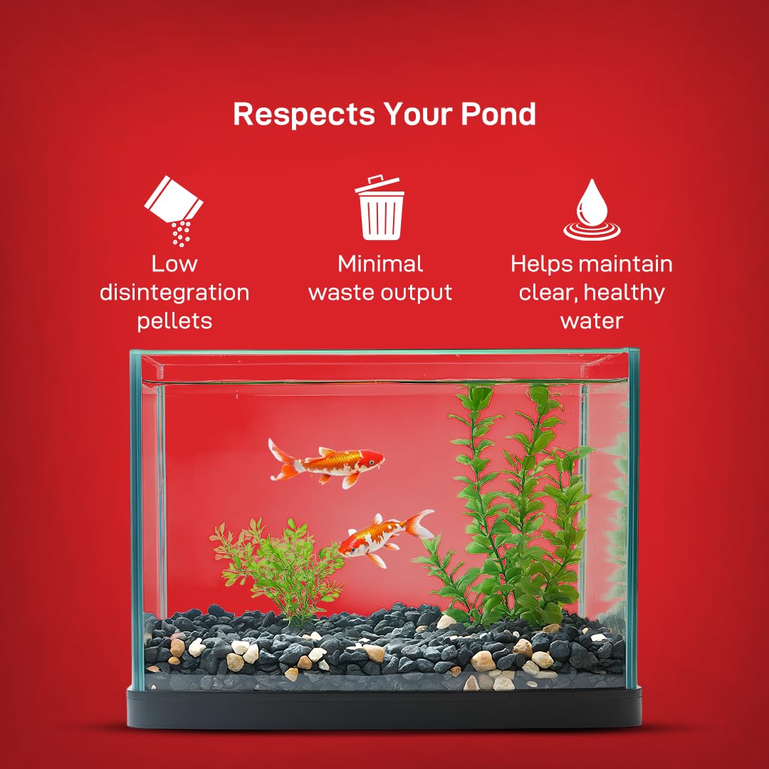 Drools Finsters Koi Food Staple 1 KG Pouch