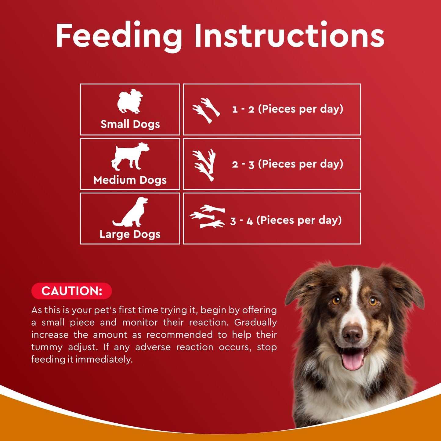 Drools Puppy & Adult Dog Treat Real Chicken Flavour, Dehydrated Chews Feet, 70Gms Pack