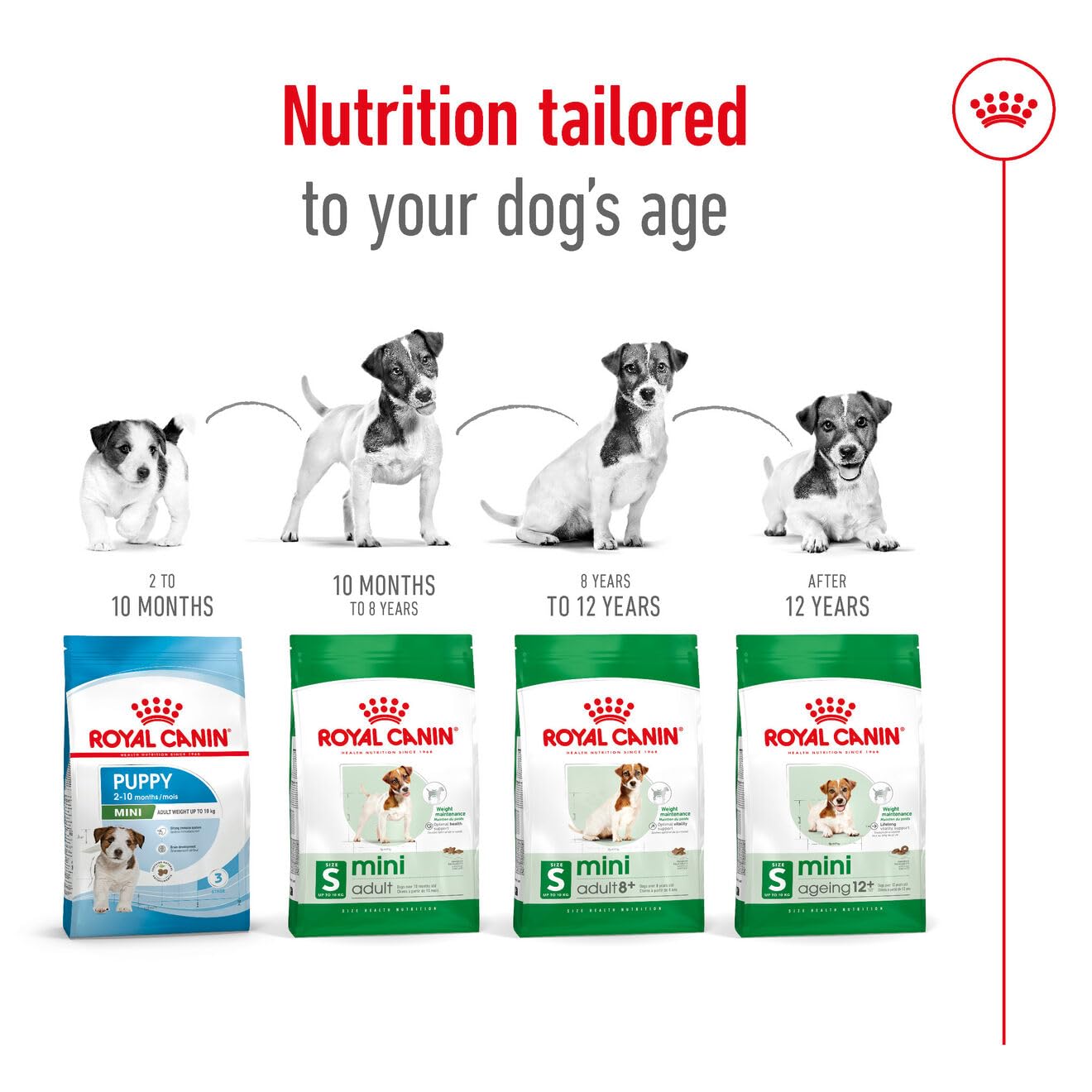 Royal Canin, Mini Adult Dry Dog Food for Senior Dogs (8+ Years), 4 kg