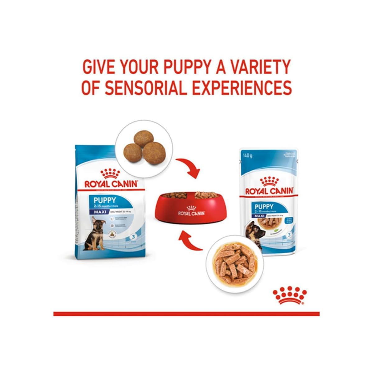 Royal Canin Maxi, Puppy Food for Stage 3, 140 Grams, Pack of 10 Sachet, Wet Food