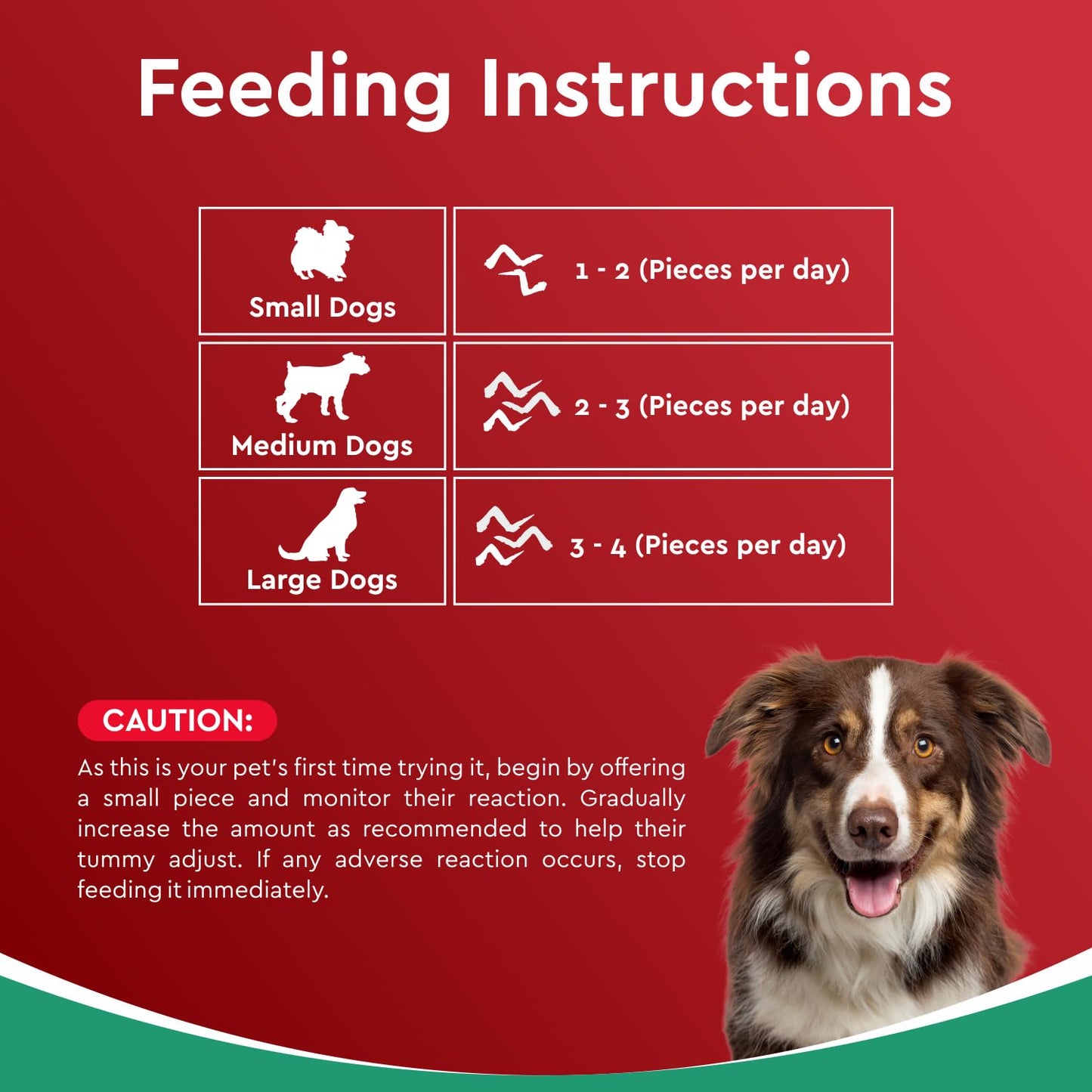 Drools Puppy & Adult Dog Treat Real Chicken Flavour, Dehydrated Chews Wings, 70Gms Pack