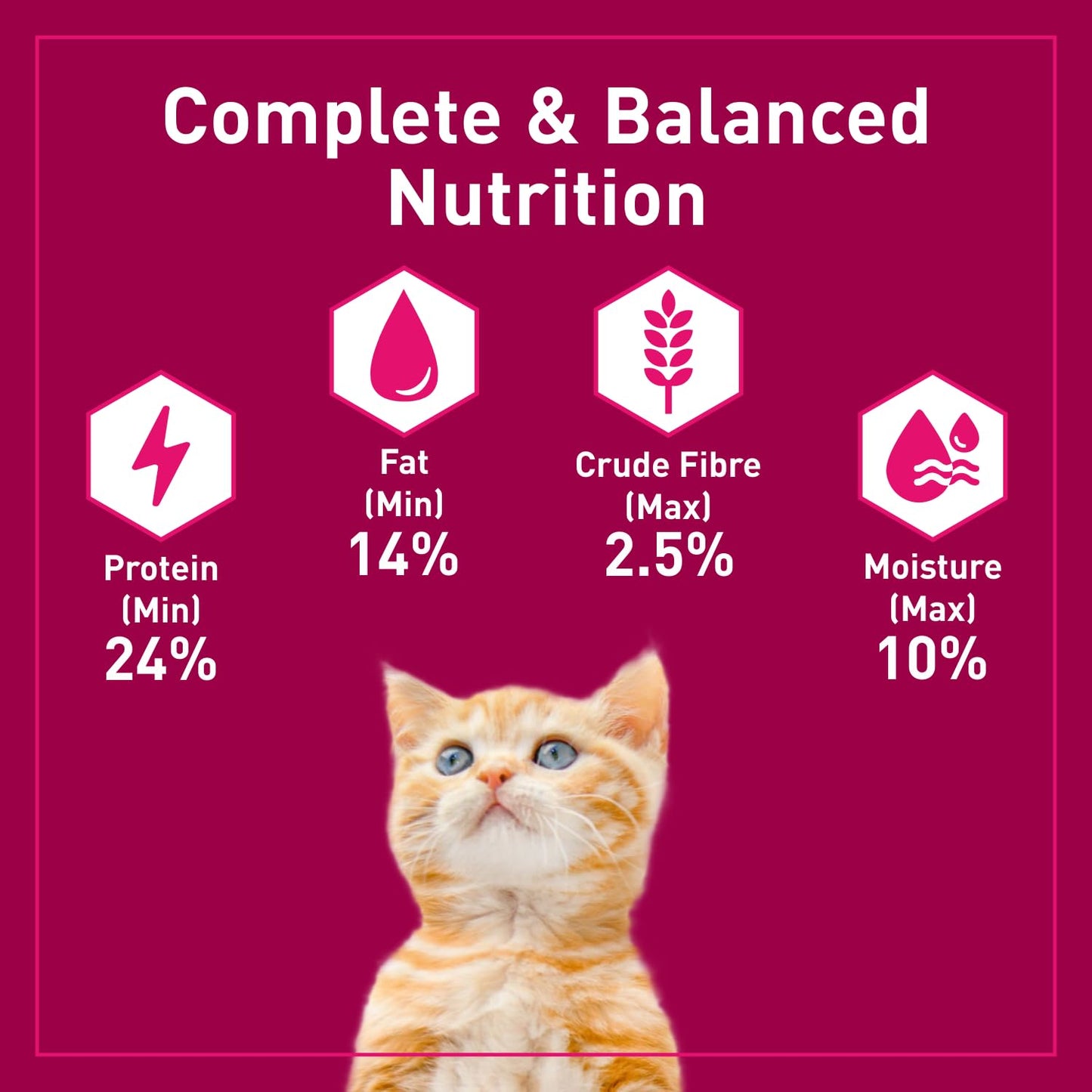 Purepet Kitten (1-12 Months) Tuna & Salmon Flavour Dry Cat Food, 1.2 KG Pack