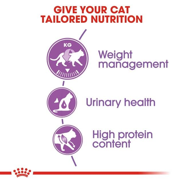 Royal Canin Sterilised 37 Regular Adult Cat Dry Food, 400 GMs Pack, Healthy Weight Management