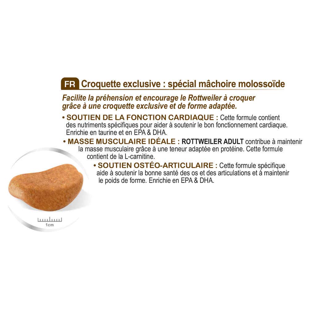 Royal Canin, Rottweiler Adult Dog Food, 12 Kg, Dry Food