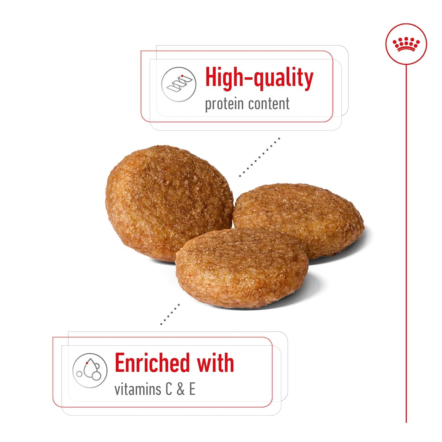 Royal Canin, Medium Adult Dog Food, 1 KG, Dry Food, Provides Muscle Mass