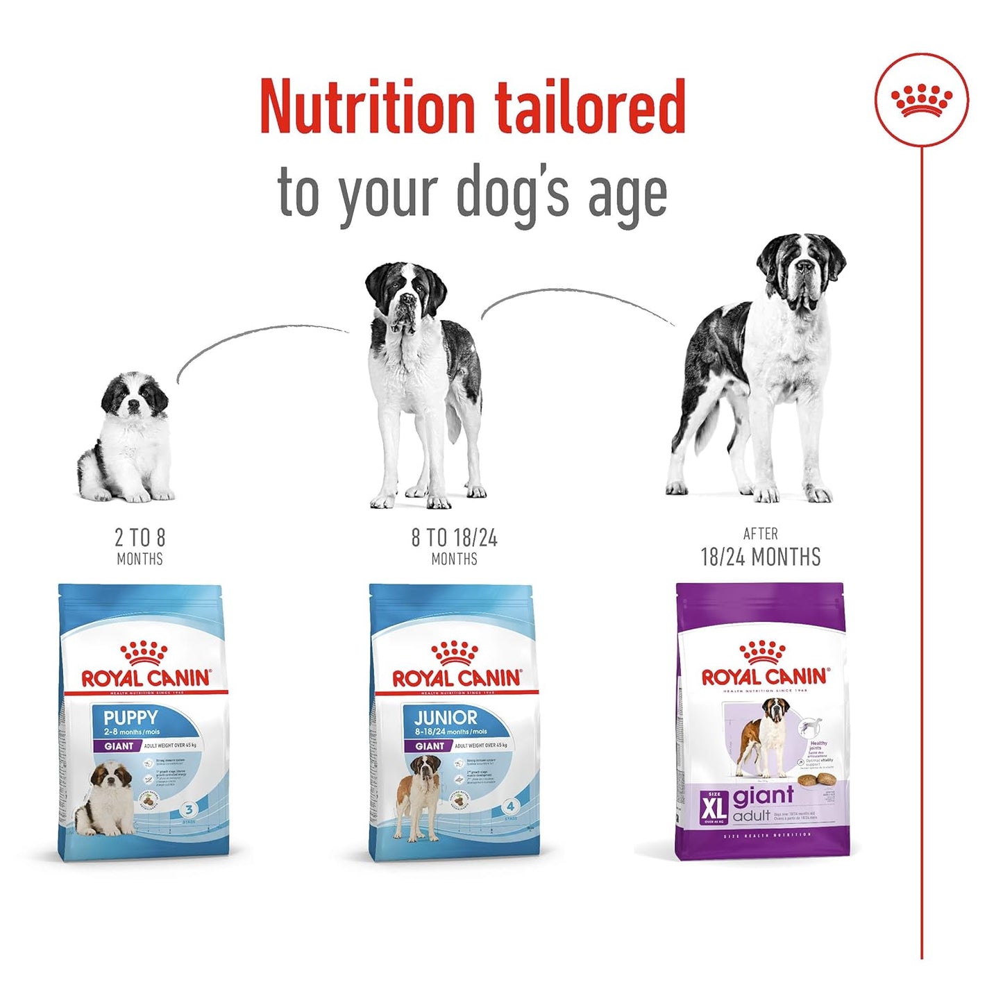 Royal Canin Giant Adult Dry Dog Food, 15 KG Pack, Supports Healthy Joint