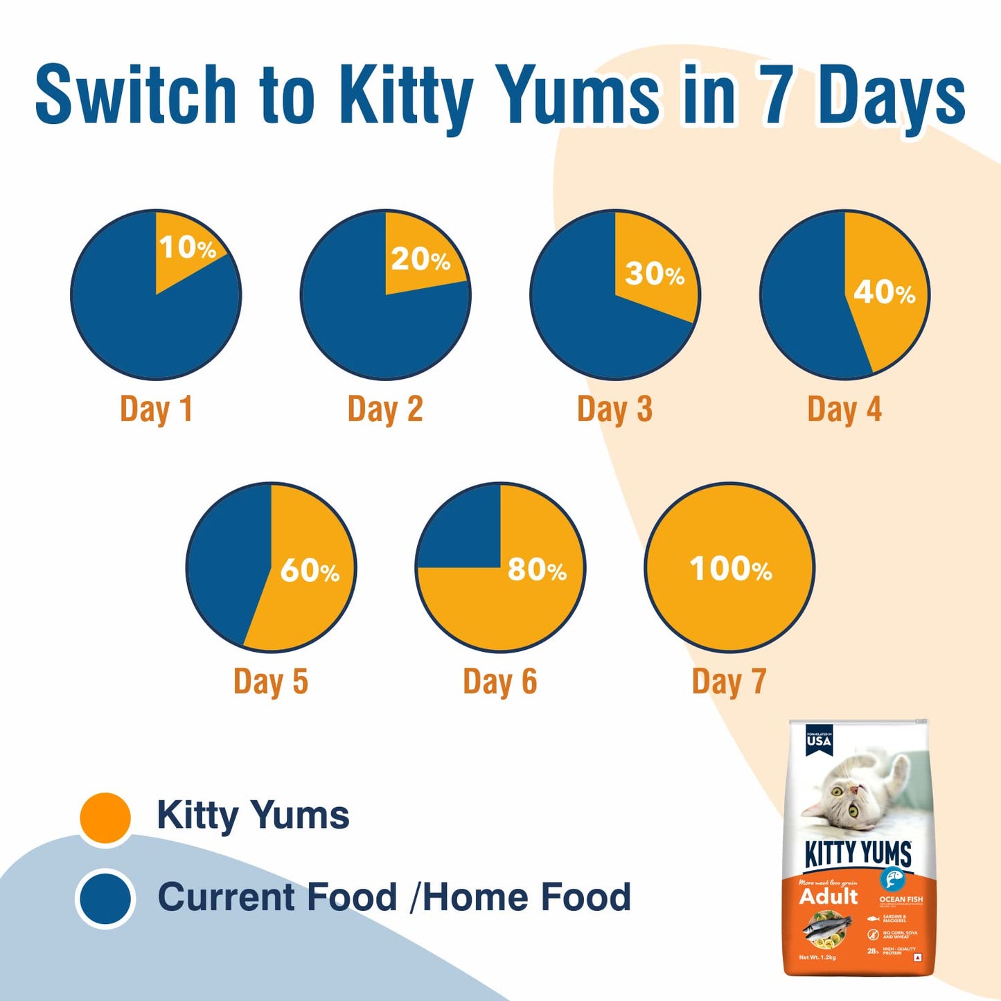 Kitty YUMS Adult (+1 Year) Dry Cat Food, 1.2 KG Pack, Ocean Fish Flavour