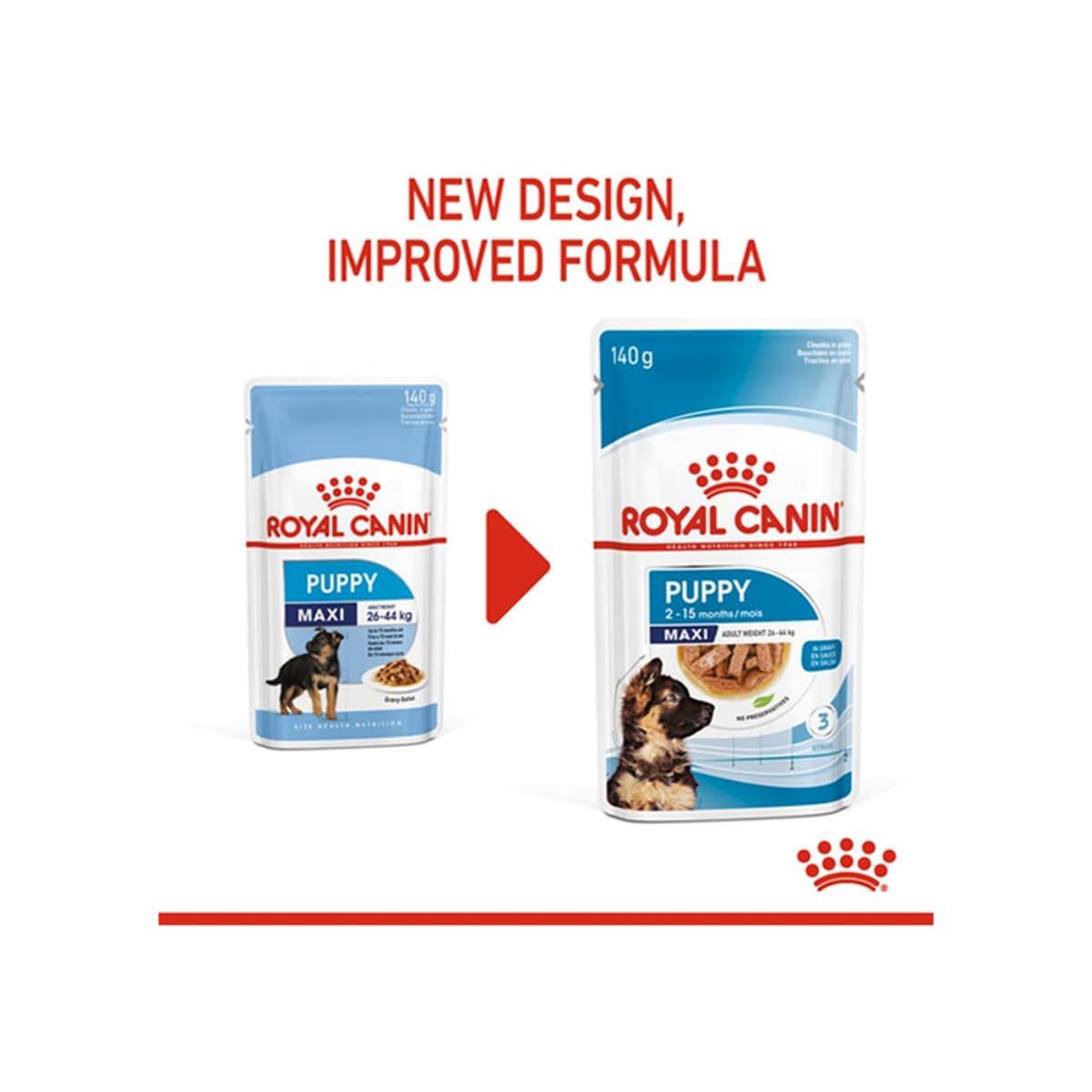 Royal Canin Maxi, Puppy Food for Stage 3, 140 Grams, Pack of 10 Sachet, Wet Food