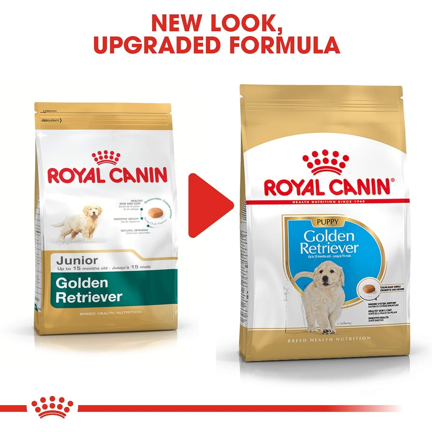 Royal Canin Golden Retriever Puppy Food, 3 KG Pack, Supports Immune System