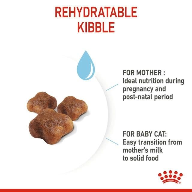 Royal Canin Mother & Babycat Food, 400 GMs Pack, Supports Immunity & Digestive Health