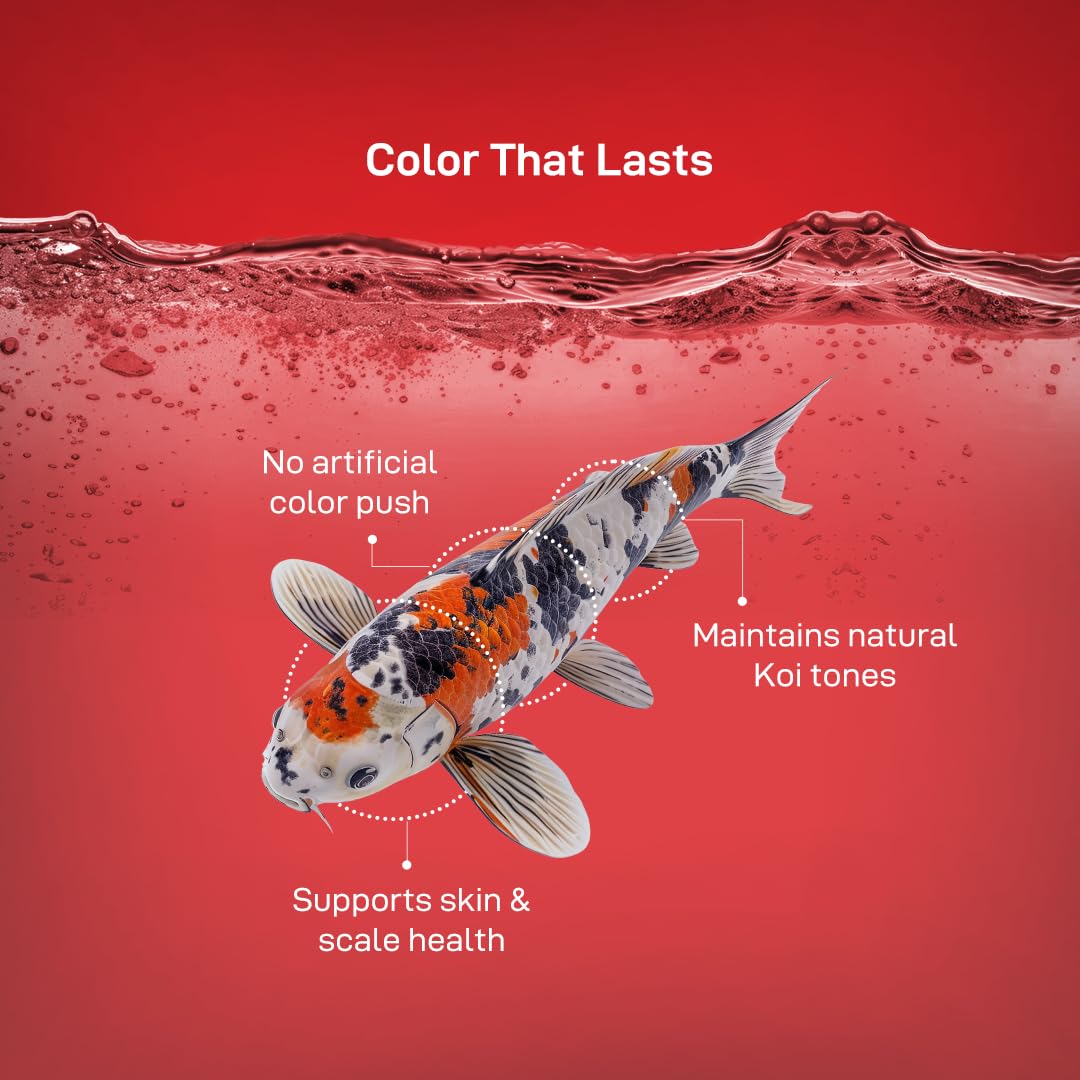 Drools Finsters Koi Food Staple 1 KG Pouch