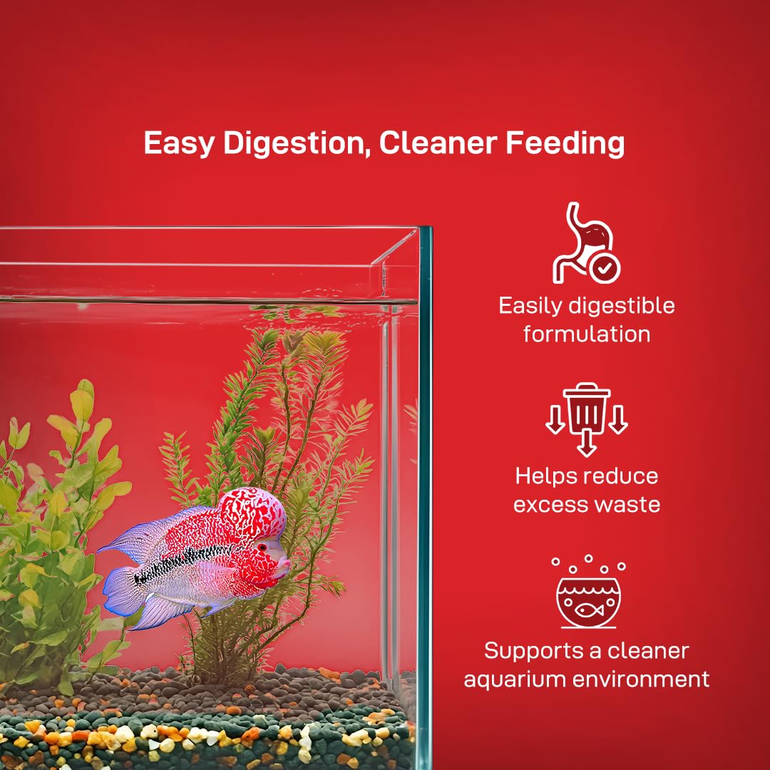 Drools Finsters Flowerhorn Colour Enhancer (L), 100 Gms