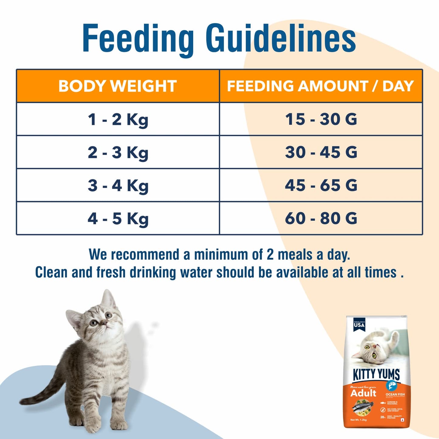 Kitty YUMS Adult (+1 Year) Dry Cat Food, 1.2 KG Pack, Ocean Fish Flavour