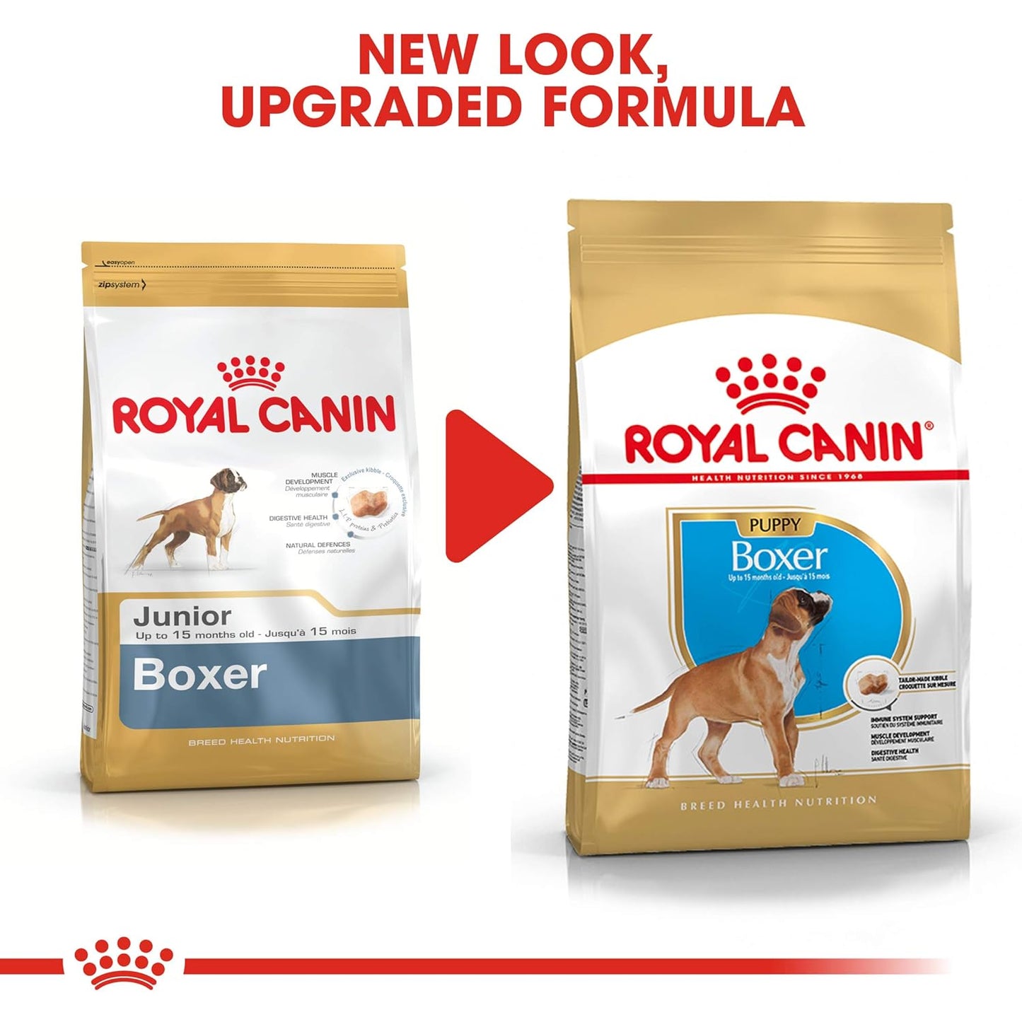 Royal Canin Boxer Puppy Dry Food, 12 KG Pack, Supports healthy Immune System