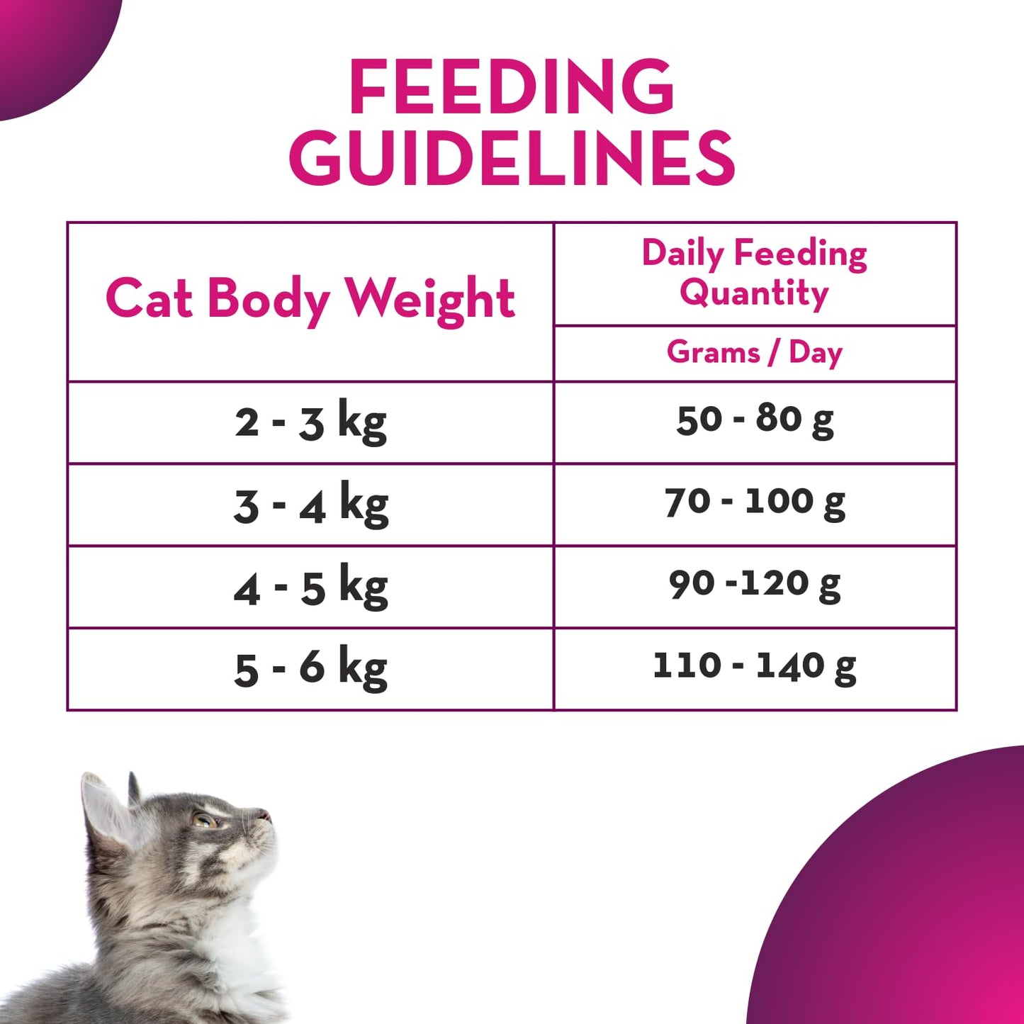 Maxi Ocean Fish Dry Adult Cat Food, 6.5 KG