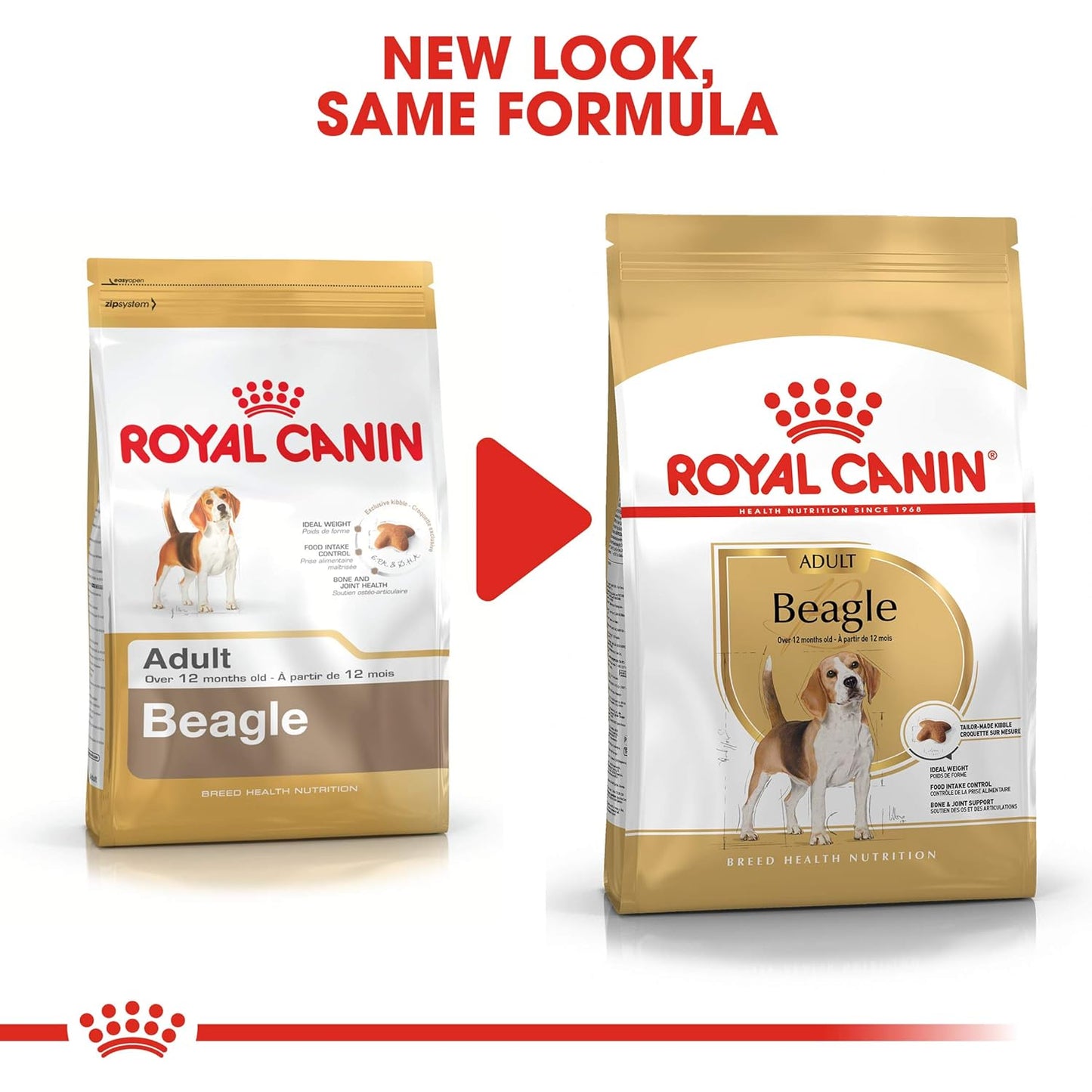 Royal Canin Beagle Adult Dry Dog Food, 12 KG Pack, Supports Ideal Weight