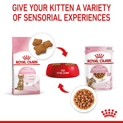 Royal Canin Sterilised Kitten, Chunks in Gravy (Pack of 12 x 85 GMs)