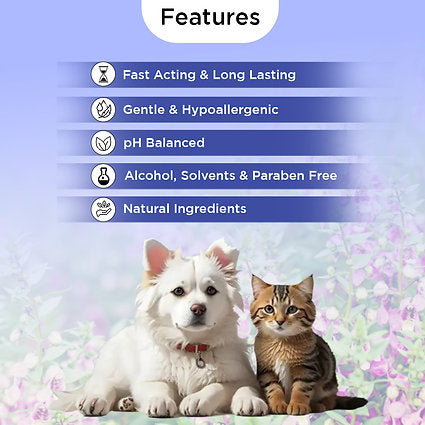 FluffyTails Purrfume, Amber Fragrance, 200 ML