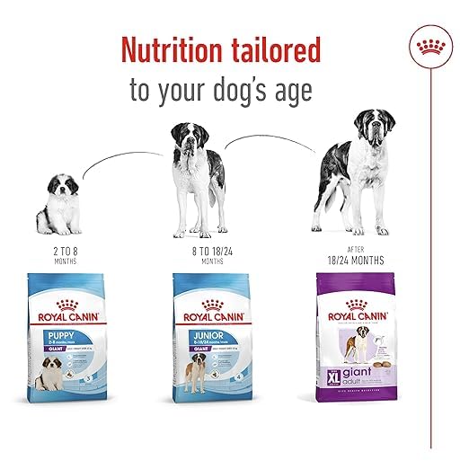 Royal Canin Giant Adult Dry Dog Food, 4 KG Pack, Supports Healthy Joint