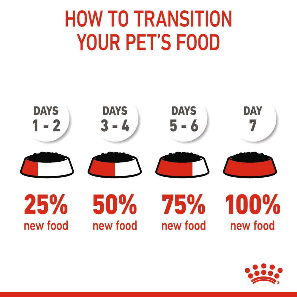 Royal Canin Instinctive Kitten Gravy Food With Loaf, 85 Grams, Pack of 12 Sachet