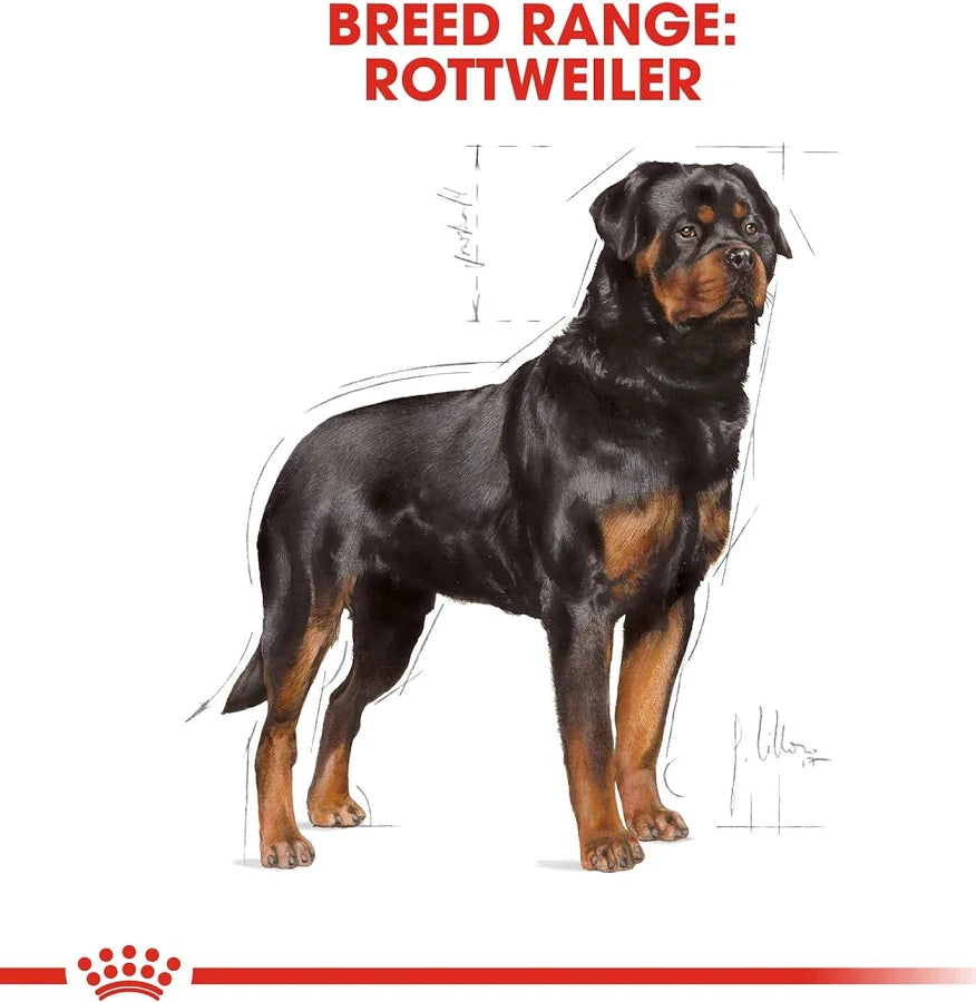 Royal Canin, Rottweiler Adult Dog Food, 3 Kg, Dry Food
