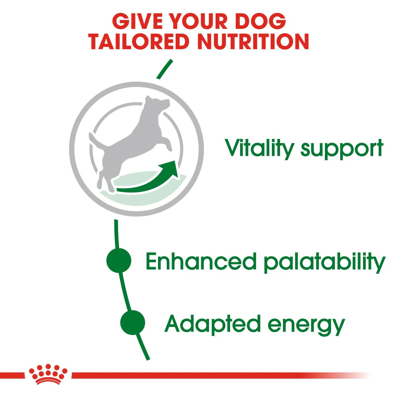 Royal Canin, Mini Adult Dry Dog Food for Senior Dogs (8+ Years), 2 kg