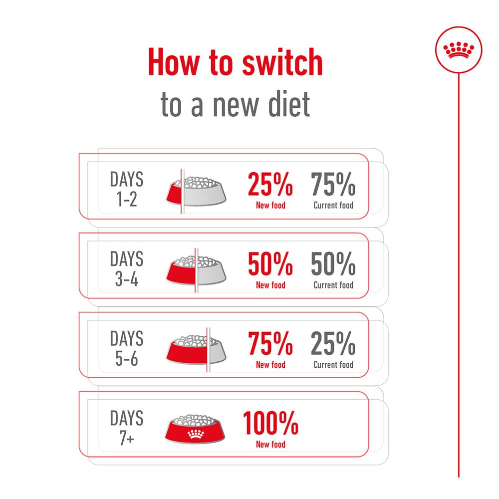 Royal Canin, Medium Adult Dog Food, 15 KG, Dry Food, Provides Muscle Mass