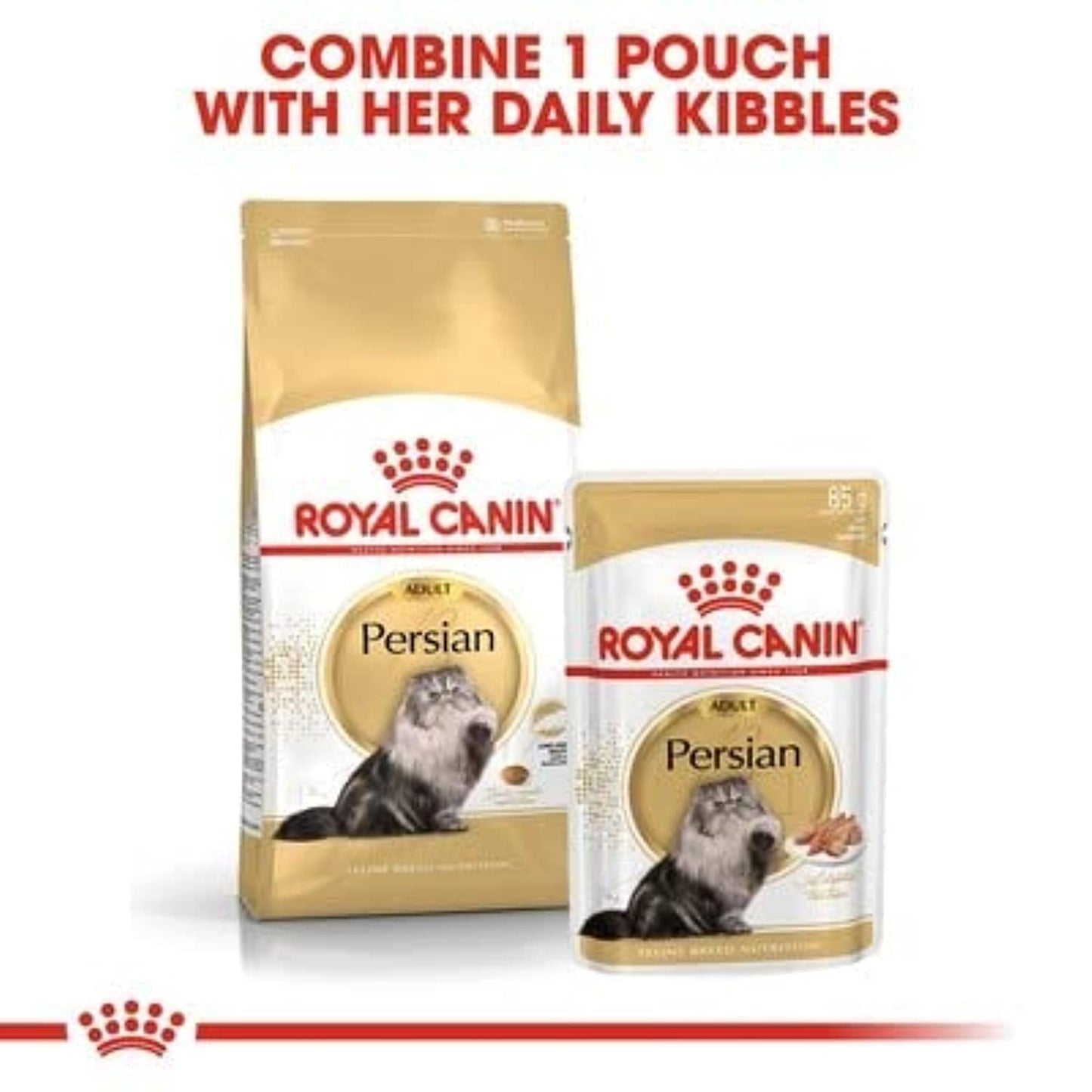 Royal Canin Persian Adult Cat Dry Food, 400 GMs Pack, Supports Long Hair, Reduce Hairball Transformation