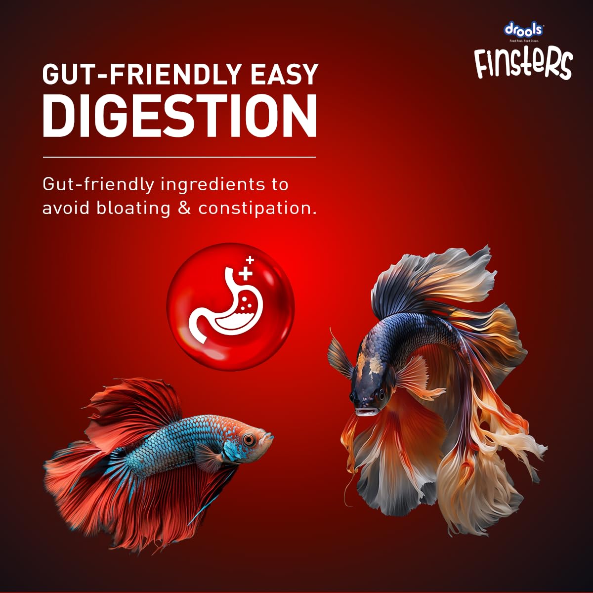 Drools Finsters Betta Fish Food 25 Gms Pouch (Pack of 4), 100 Gms Total